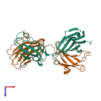 Hetero dimeric assembly 1 of PDB entry 1cfq coloured by chemically distinct molecules, top view.
