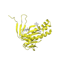 The deposited structure of PDB entry 1cju contains 1 copy of CATH domain 3.30.70.1230 (Alpha-Beta Plaits) in Adenylate cyclase type 5. Showing 1 copy in chain A.