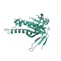 The deposited structure of PDB entry 1cju contains 1 copy of SCOP domain 55074 (Adenylyl and guanylyl cyclase catalytic domain) in Adenylate cyclase type 2. Showing 1 copy in chain B.