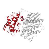 The deposited structure of PDB entry 1cju contains 1 copy of CATH domain 1.10.400.10 (GI Alpha 1, domain 2-like) in Guanine nucleotide-binding protein G(s) subunit alpha isoforms short. Showing 1 copy in chain C.