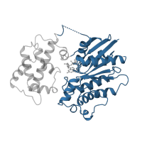 The deposited structure of PDB entry 1cju contains 1 copy of CATH domain 3.40.50.300 (Rossmann fold) in Guanine nucleotide-binding protein G(s) subunit alpha isoforms short. Showing 1 copy in chain C.