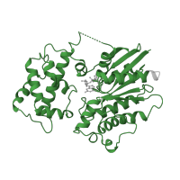 The deposited structure of PDB entry 1cju contains 1 copy of Pfam domain PF00503 (G-protein alpha subunit) in Guanine nucleotide-binding protein G(s) subunit alpha isoforms short. Showing 1 copy in chain C.