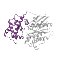 The deposited structure of PDB entry 1cju contains 1 copy of SCOP domain 47896 (Transducin (alpha subunit), insertion domain) in Guanine nucleotide-binding protein G(s) subunit alpha isoforms short. Showing 1 copy in chain C.