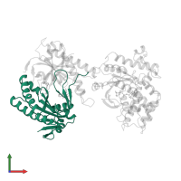 Adenylate cyclase type 5 in PDB entry 1cju, assembly 1, front view.