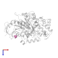 PHOSPHATE ION in PDB entry 1cle, assembly 1, top view.
