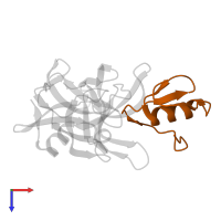 Ovomucoid in PDB entry 1ct0, assembly 1, top view.