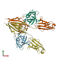 PDB entry 1cvs coloured by chain, front view.