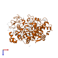 Myeloperoxidase heavy chain in PDB entry 1d5l, assembly 2, top view.