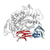 The deposited structure of PDB entry 1ded contains 4 copies of CATH domain 2.60.40.10 (Immunoglobulin-like) in Cyclomaltodextrin glucanotransferase. Showing 2 copies in chain A.