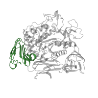 The deposited structure of PDB entry 1ded contains 2 copies of CATH domain 2.60.40.1180 (Immunoglobulin-like) in Cyclomaltodextrin glucanotransferase. Showing 1 copy in chain A.