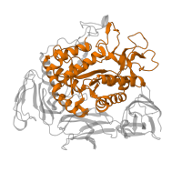 The deposited structure of PDB entry 1ded contains 2 copies of Pfam domain PF00128 (Alpha amylase, catalytic domain) in Cyclomaltodextrin glucanotransferase. Showing 1 copy in chain A.