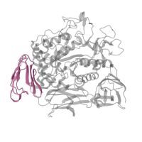 The deposited structure of PDB entry 1ded contains 2 copies of Pfam domain PF02806 (Alpha amylase, C-terminal all-beta domain) in Cyclomaltodextrin glucanotransferase. Showing 1 copy in chain A.