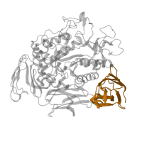 The deposited structure of PDB entry 1ded contains 2 copies of SCOP domain 49453 (Starch-binding domain) in Cyclomaltodextrin glucanotransferase. Showing 1 copy in chain A.