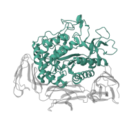 The deposited structure of PDB entry 1ded contains 2 copies of SCOP domain 51446 (Amylase, catalytic domain) in Cyclomaltodextrin glucanotransferase. Showing 1 copy in chain A.
