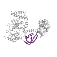 The deposited structure of PDB entry 1dgs contains 2 copies of CATH domain 2.40.50.140 (OB fold (Dihydrolipoamide Acetyltransferase, E2P)) in DNA ligase. Showing 1 copy in chain A.