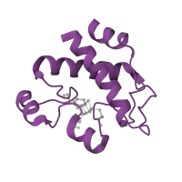 The deposited structure of PDB entry 1dj7 contains 1 copy of CATH domain 3.90.460.10 (Ferredoxin Thioredoxin Reductase) in Ferredoxin-thioredoxin reductase, catalytic chain. Showing 1 copy in chain A.