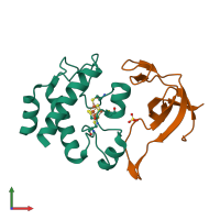 Hetero dimeric assembly 1 of PDB entry 1dj7 coloured by chemically distinct molecules, front view.