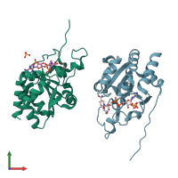 PDB entry 1djl coloured by chain, front view.