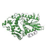 The deposited structure of PDB entry 1dkl contains 2 copies of Pfam domain PF00328 (Histidine phosphatase superfamily (branch 2)) in Phytase AppA. Showing 1 copy in chain A.