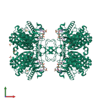 Homo tetrameric assembly 1 of PDB entry 1dm3 coloured by chemically distinct molecules, front view.