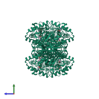 Homo tetrameric assembly 1 of PDB entry 1dm3 coloured by chemically distinct molecules, side view.
