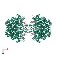 Homo tetrameric assembly 1 of PDB entry 1dm3 coloured by chemically distinct molecules, top view.