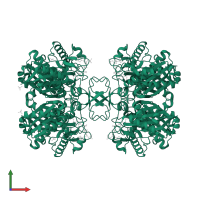 Acetyl-CoA acetyltransferase in PDB entry 1dm3, assembly 1, front view.