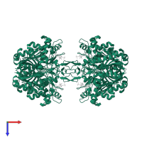 Acetyl-CoA acetyltransferase in PDB entry 1dm3, assembly 1, top view.