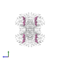 ACETYL COENZYME *A in PDB entry 1dm3, assembly 1, side view.
