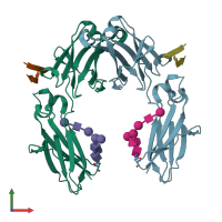 PDB entry 1dn2 coloured by chain, front view.