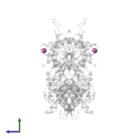 2-acetamido-2-deoxy-beta-D-glucopyranose in PDB entry 1dp4, assembly 1, side view.