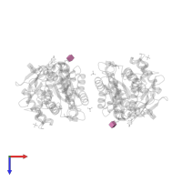 2-acetamido-2-deoxy-beta-D-glucopyranose in PDB entry 1dp4, assembly 1, top view.