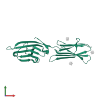 T-lymphocyte activation antigen CD80 in PDB entry 1dr9, assembly 1, front view.