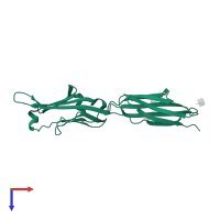 T-lymphocyte activation antigen CD80 in PDB entry 1dr9, assembly 1, top view.