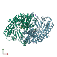 PDB entry 1dty coloured by chain, front view.