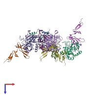 PDB entry 1dx5 coloured by chain, top view.