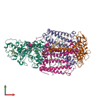 PDB entry 1dxr coloured by chain, front view.