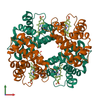 Hetero tetrameric assembly 1 of PDB entry 1dxu coloured by chemically distinct molecules, front view.