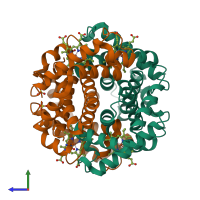 Hetero tetrameric assembly 1 of PDB entry 1dxu coloured by chemically distinct molecules, side view.