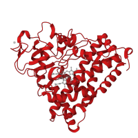 The deposited structure of PDB entry 1dz6 contains 2 copies of CATH domain 1.10.630.10 (Cytochrome p450) in Camphor 5-monooxygenase. Showing 1 copy in chain B.