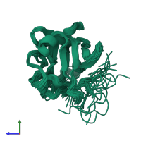 PDB entry 1dzd coloured by chain, ensemble of 24 models, side view.