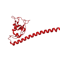 The deposited structure of PDB entry 1e31 contains 2 copies of CATH domain 1.10.1170.10 (Inhibitor Of Apoptosis Protein (2mihbC-IAP-1); Chain A) in Baculoviral IAP repeat-containing protein 5. Showing 1 copy in chain B.