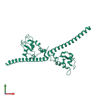 Baculoviral IAP repeat-containing protein 5 in PDB entry 1e31, assembly 1, front view.