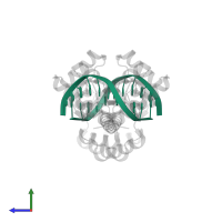 5'-D(*AP*TP*GP*CP*AP*TP*GP*AP*GP*GP*A)-3' in PDB entry 1e3o, assembly 1, side view.