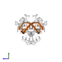 5'-D(*TP*CP*CP*TP*CP*AP*TP*GP*CP*AP*T)-3' in PDB entry 1e3o, assembly 1, side view.