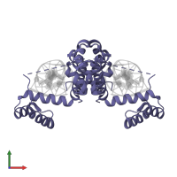 POU domain, class 2, transcription factor 1 in PDB entry 1e3o, assembly 1, front view.