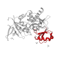 The deposited structure of PDB entry 1e4e contains 1 copy of CATH domain 3.30.1490.20 (Dna Ligase; domain 1) in Vancomycin/teicoplanin A-type resistance protein VanA. Showing 1 copy in chain A.