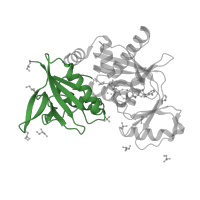 The deposited structure of PDB entry 1e4e contains 1 copy of CATH domain 3.40.50.20 (Rossmann fold) in Vancomycin/teicoplanin A-type resistance protein VanA. Showing 1 copy in chain A.