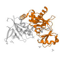 The deposited structure of PDB entry 1e4e contains 1 copy of Pfam domain PF07478 (D-ala D-ala ligase C-terminus) in Vancomycin/teicoplanin A-type resistance protein VanA. Showing 1 copy in chain A.