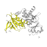 The deposited structure of PDB entry 1e4e contains 1 copy of SCOP domain 52452 (D-Alanine ligase N-terminal domain) in Vancomycin/teicoplanin A-type resistance protein VanA. Showing 1 copy in chain A.